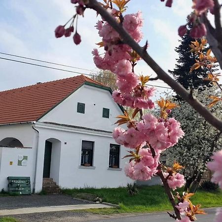 Fuszeres Porta Villa Mihalyfa Dış mekan fotoğraf