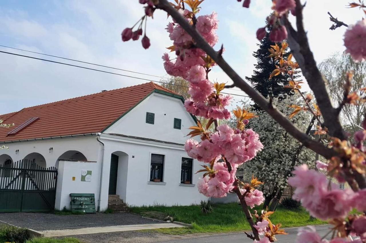 Fuszeres Porta Villa Mihalyfa Dış mekan fotoğraf